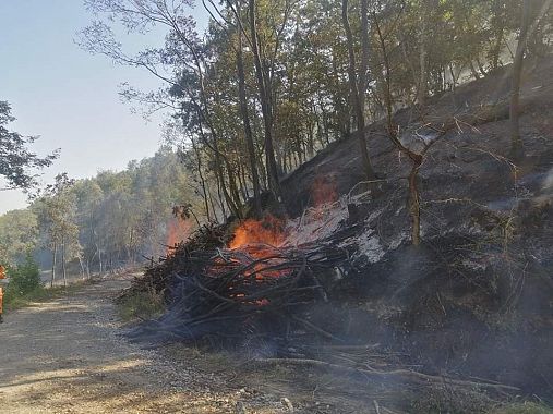 L'incendio divampato nel bosco pistoiese